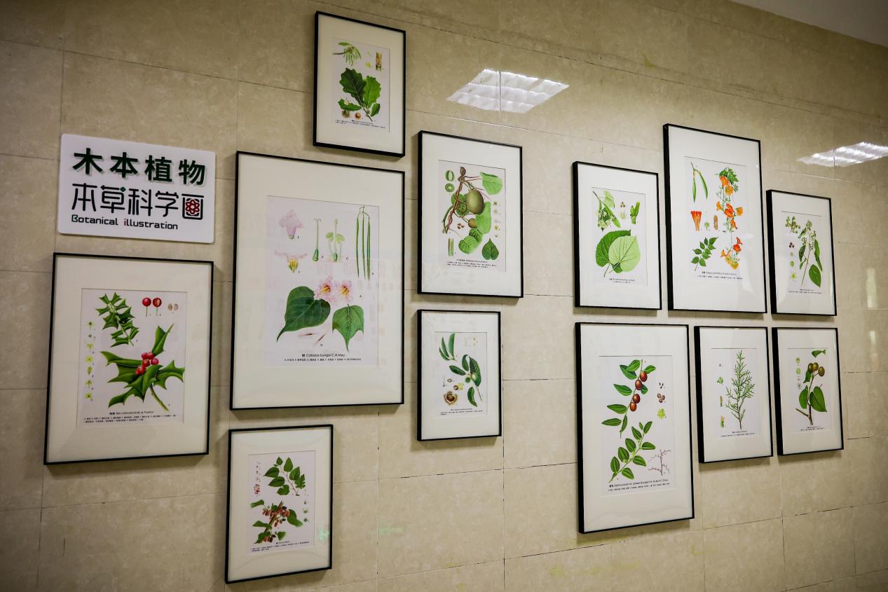 2025年北京市校园中医药文化主题活动举办