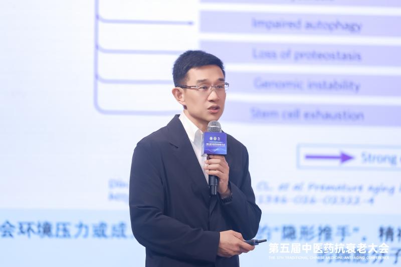 慢性压力加速衰老？天然药物干预研究新发现