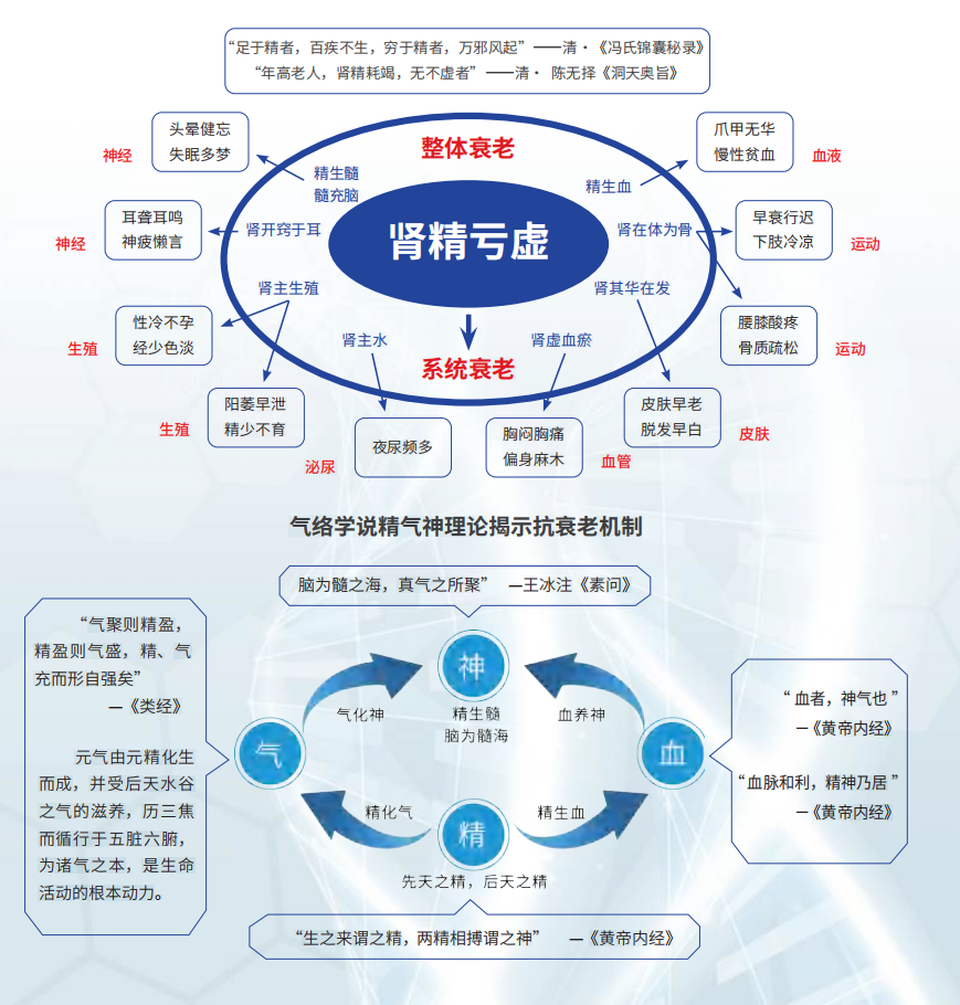 衰老真的可干预？这项科研成果给出硬核答案