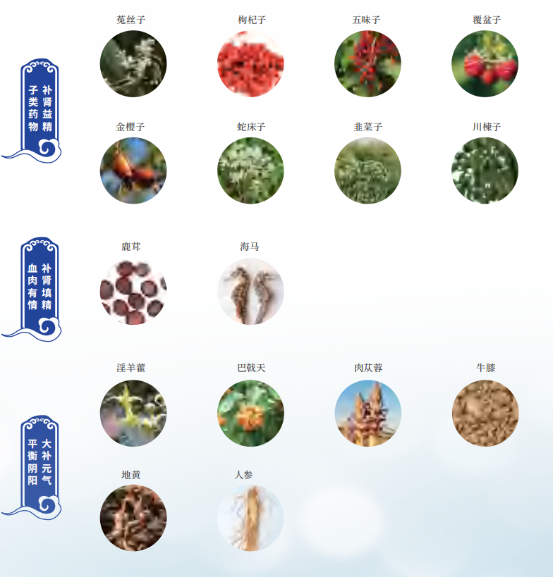 衰老真的可干预？这项科研成果给出硬核答案